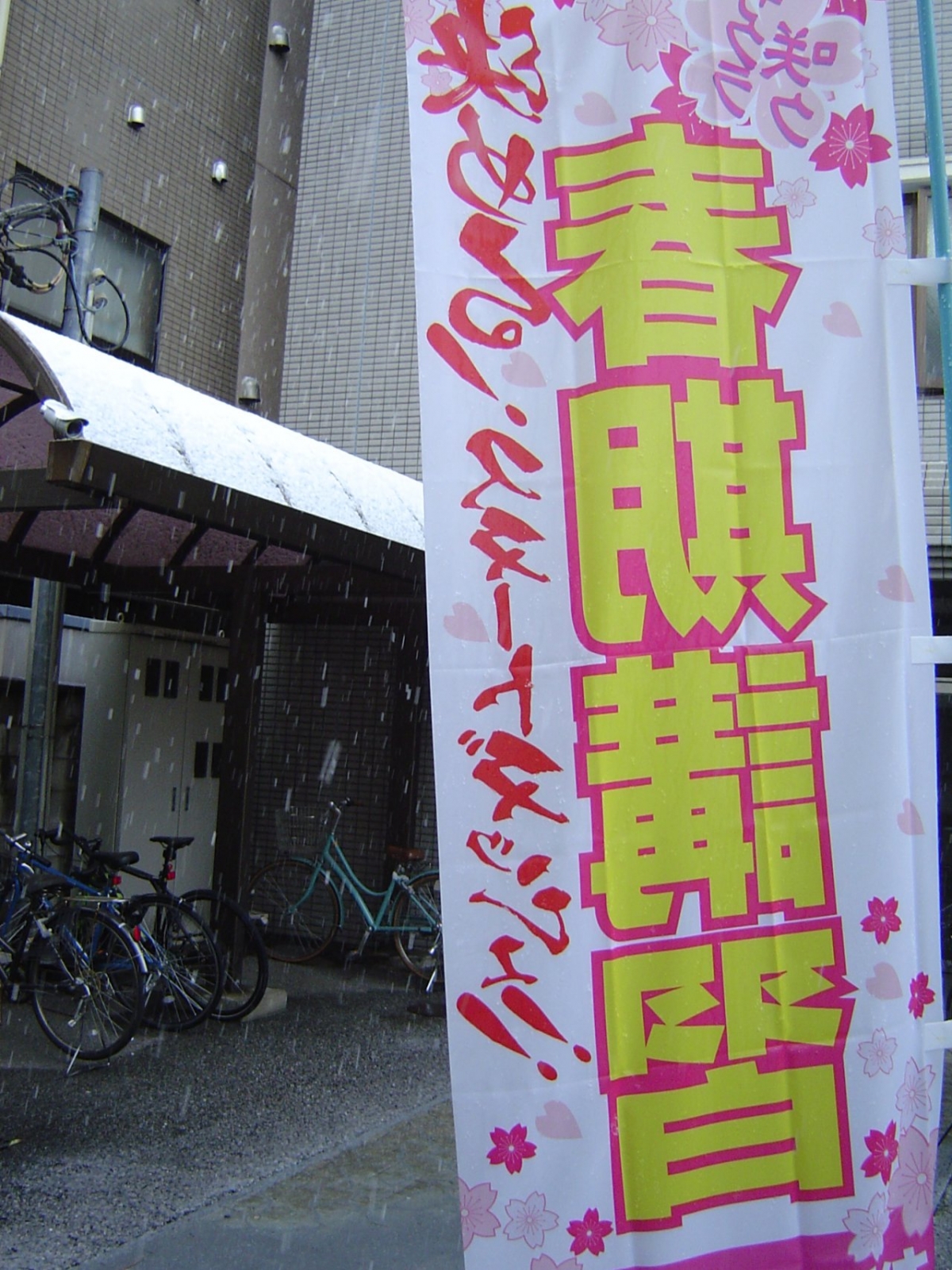 200329 shunnki